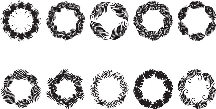 Black and white detailed line collection of various feather and textures line feather texture feather pattern