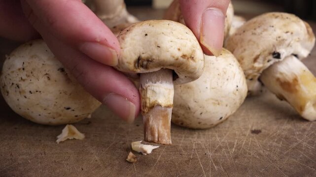 Close-up Views, Champignon Mushroom, Organic Foods, Fungus Textures