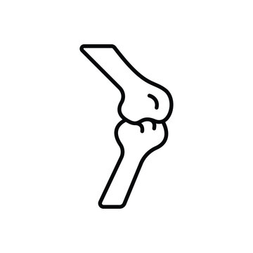 Bones Skeleton Anatomy Line Icon: Human Body Structure