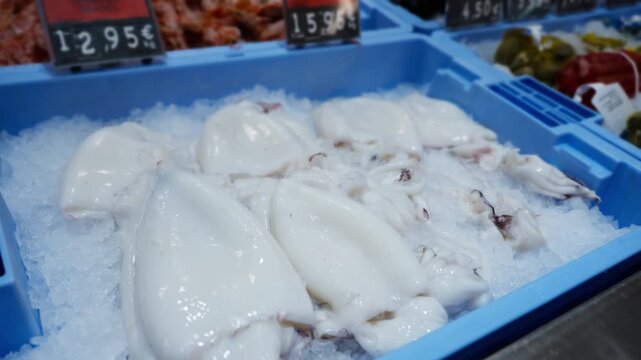 Raw, fresh squid resting on a bed of crushed ice in a blue container at a seafood market, with price tags visible in the background, showcasing the daily catch for sale