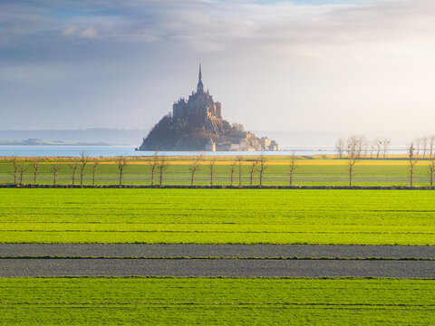 Aerial view of the historic Mont Saint-Michel abbey rising above the sea beyond green agricultural fields and a row of trees in Mont Saint-Michel, Normandy, France.