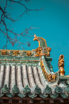 Jingtu Temple, Shuozhou, Shanxi, China. Traditional Architecture, Wooden Architecture