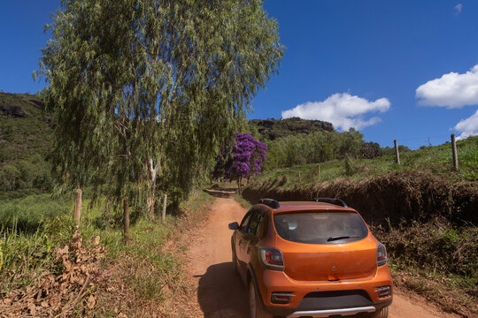 Carro laranja, bronze na Estrada Rural com um portal de uma bel&iacute;ssima &aacute;rvore com flores roxas, Aiuruoca, Minas Gerais
