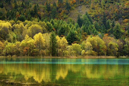 Five Flower Lake in autumnal environment, Jiuzhaigou National Park, UNESCO World Heritage Site, Sichuan Province, China