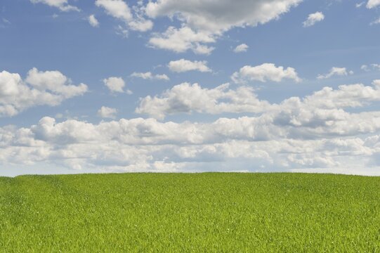 Green field and blue sky, Bucklige Welt, Lower Austria, Austria, Europe