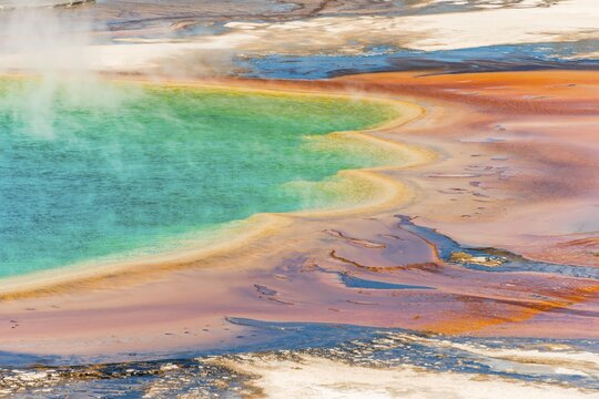 Colored mineral deposits at the edge sr steaming hot spring, detail photo, Grand Prismatic Spring, Midway Geyser Basin, Yellowstone National Park, Wyoming, USA