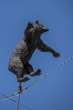 Statue of the Bernese bear dancing on a rope, heraldic animal, at the Bear Pit, Bern, Canton Bern, Switzerland