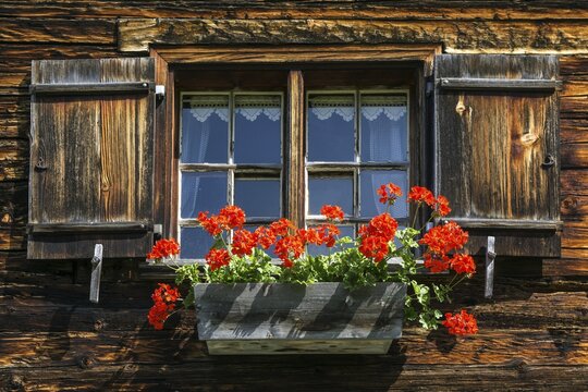 Window with geraniums on an old farmhouse in the historic mountain farming village Gerstruben, Dietersbachtal, near Oberstdorf, Allg&auml;uer Alps, Oberallg&auml;u, Allg&auml;u, Bavaria, Germany