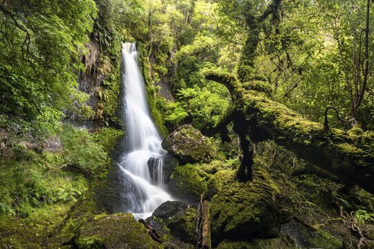 Upper Waipohatu Waterfall, Catlins, South Island, New Zealand
