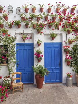 Blue front doors with many red geraniums in flowerpots on a house wall, Fiesta de los Patios, C&oacute;rdoba, Andalusia, Spain