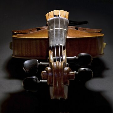 Violin