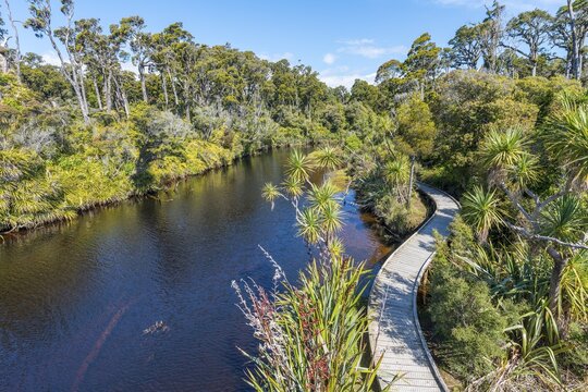 River with path, Ship Creek, moderate rainforest, Haast, West Coast, New Zealand