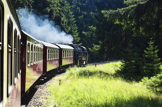 Brockenbahn, Brocken Railway, on the way to Mount Brocken, Harz, Saxony-Anhalt, Germany