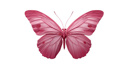 Fototapeta premium Pink butterfly with open wings isolated on transparent background looking beautiful