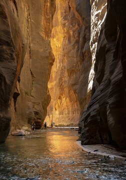 Hikers in the river, The Narrows, Virgin River bottleneck, Zion Canyon cliffs, Zion National Park, Utah, USA