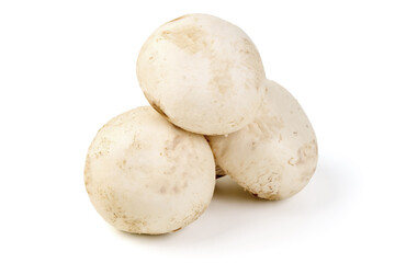 Fototapeta premium Fresh White Button Mushrooms, isolated on white background