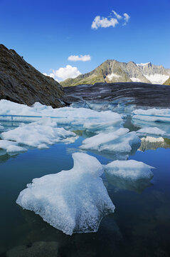 Great Aletschgletscher glacier with ice floes in the foreground, Goms, Valais, Switzerland, Europe