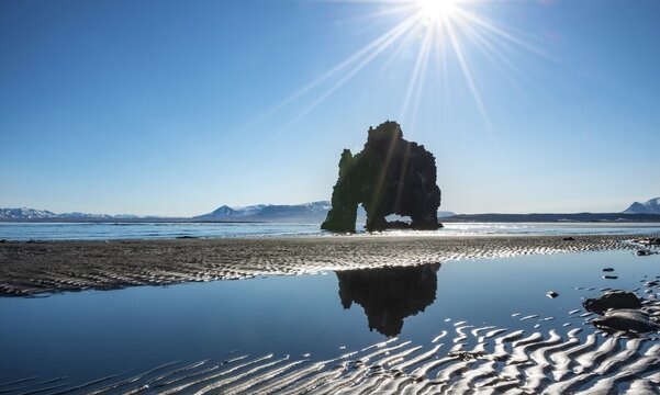Hvitserkur, Elephant Rock reflected on the lava beach, basalt rocks in the form of an elephant in sunshine, Nor&eth;urland vestra, Northern Iceland, Iceland