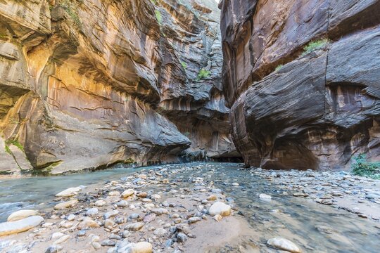 The Narrows, Virgin River, steep walls, Zion Canyon, Zion National Park, Utah, USA