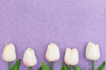 White tulips on purple glitter spring background