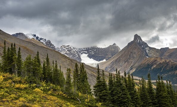 View of mountains and glaciers, Mount Athabasca and Hilda Peak in autumn, Parker Ridge, Icefields Parkway, Jasper National Park National Park, Canadian Rocky Mountains, Alberta, Canada