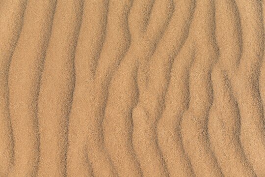 Wave pattern in the sand, Sossusvlei, Namib-Naukluft National Park, Namibia