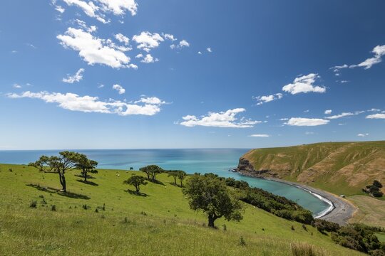 Stony Beach, Banks Peninsula, Akaroa, near Christchurch, Canterbury, South Island, New Zealand