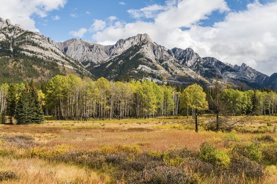 Fall Mountain Landscape, Cockscomb Mountain, Bow Valley, Banff National Park, Rocky Mountains, Alberta, Canada