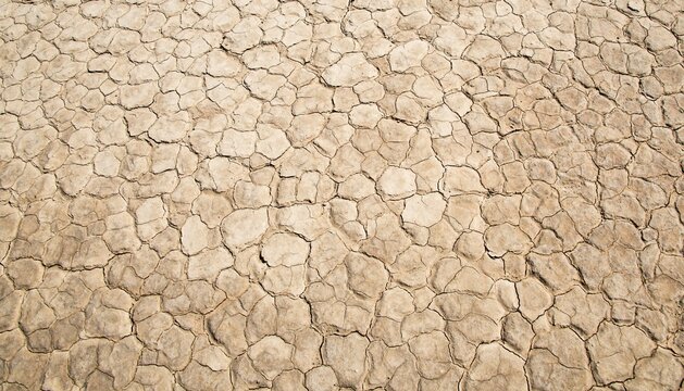 Dried earth, mudcracks, Death Valley, Death Valley National Park, California, USA