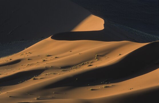 Red sand dunes, Sossusvlei, Namib-Naukluft National Park, Namibia, Africa