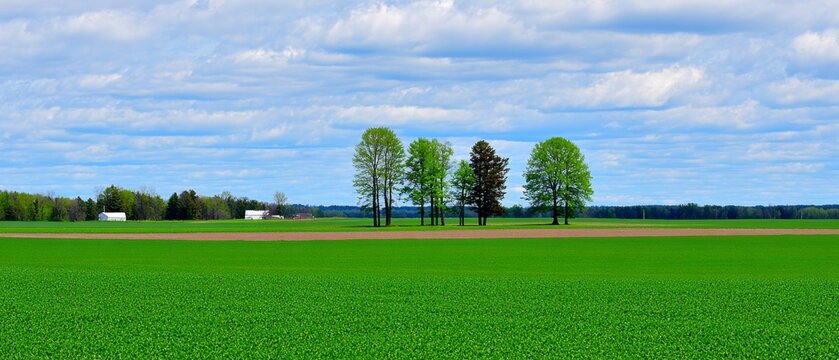 Minnesota's slower growth: understanding the causes and consequences. Photojournalism. Unpacking minnesota's demographic trends and slower growth narrative. Natural mood. Real feeling.