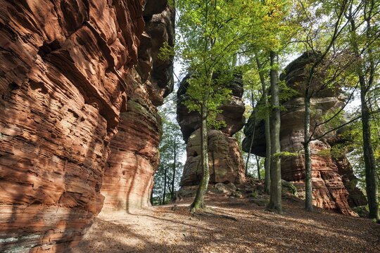 Old castle rock, red sandstone rock formation, natural and cultural monument, Brechenberg near Eppenbrunn, Palatinate Forest, Rhineland-Palatinate, Germany