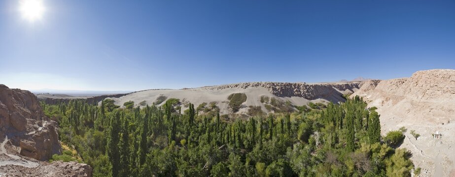 Quebrada de Jere oasis, Toconao, Regi&oacute;n de Antofagasta, Chile, South America