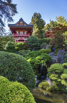 Japanese Tea Garden, Golden Gate Park, San Francisco, California, USA