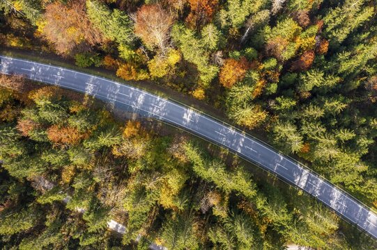 Aerial view, country road in autumn from above, Reit im Winkl, Bavaria, Germany