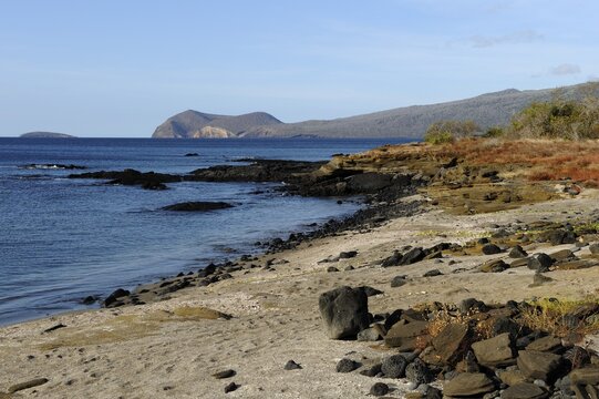 Evening mood at Puerto Egas Bay on Santiago Island, Galapagos Islands, Ecuador, South America