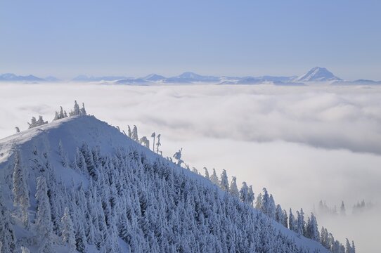 View on Mt. Oetscher from Mt. Unterberg, Lower Austria, Austria, Europe