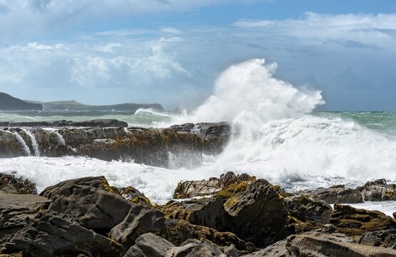 High waves, splashing spray, waves beating against rocky coastline, stormy sea, Curio Bay, Southlands, South Island, New Zealand