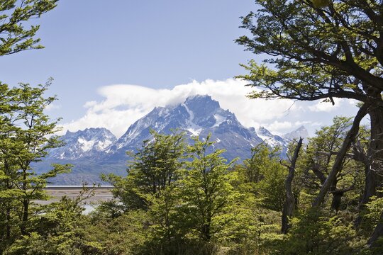 Torres del Paine Grande peaks seen from Logo Grey, Torres del Paine National Park, Patagonia, Chile, South America