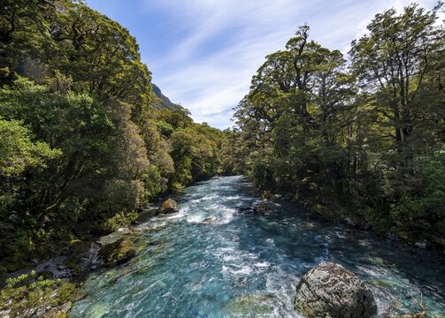Hollyford River, Whakatipu Ka Tuka, Fiordland National Park, Te Anau, Southland, South Island, New Zealand