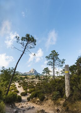 Hiking trail to Piscia di Gallo, mountain landscape with Punta di u Diamante, Punta del Diamante, L'Osp&eacute;dale, Alta Rocca, Corsica, France