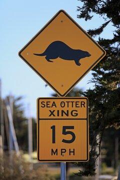 Traffic sign Caution Sea Otter, Speed Limit, Elkhorn Slough, California, USA