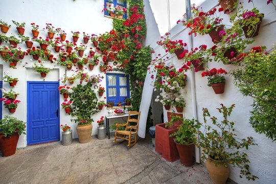 Blue entrance door in courtyard decorated with flowers, geraniums in flower pots on the house wall, Fiesta de los Patios, C&oacute;rdoba, Andalucia, Spain