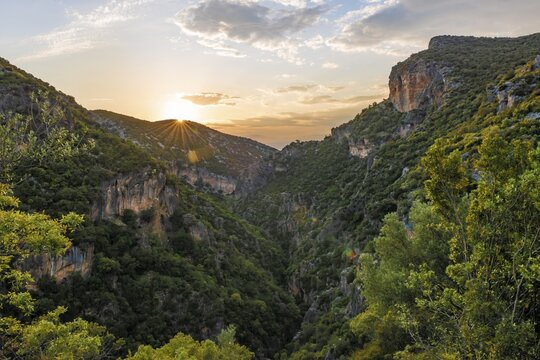 Wooded slopes, The Green Gorge, Sunset, Garganta Verde, Sierra de C&aacute;diz, C&aacute;diz, Spain