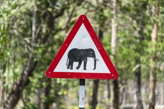 Traffic signs, warning of crossing elephants, Nagarhole National Park, Karnataka, India