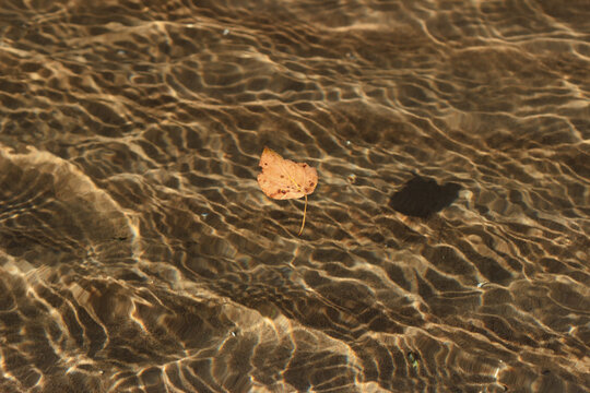 Ripples on the water surface of the river Volga. Samara, Russia.