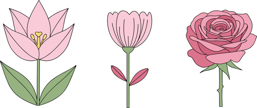 Elegant Pink Floral Set Featuring a Lotus, Tulip, and Rose