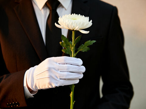 Formal funeral etiquette showing hands in white gloves holding a chrysanthemum for flower offering ceremony