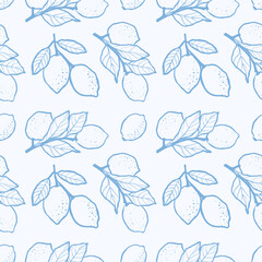 Seamless pattern with Hand-drawn lemon branch. Good for print, textile pattern or wallpaper, botanical backgrounds. 