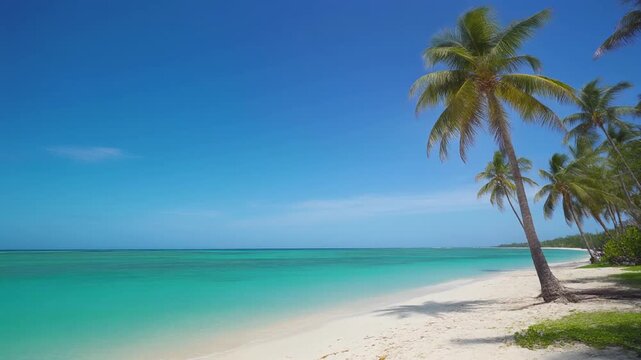 Palmen, Strand, Meer, Blumen 